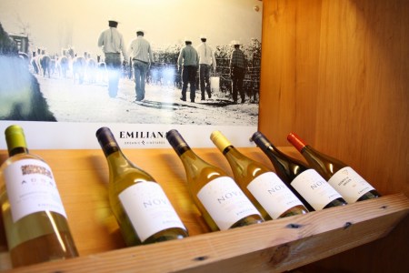 Fundada em 1986, a Emiliana foi a primeira vinícola do Chile a conseguir a certificação ambiental 14001.